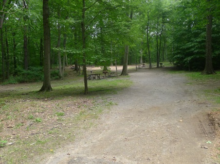 Enlarge photo 160