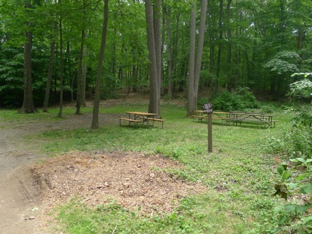 Enlarge photo 161