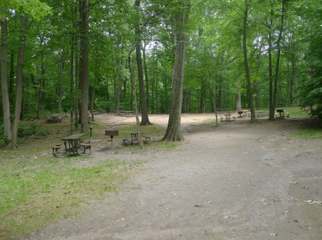 Enlarge photo 162