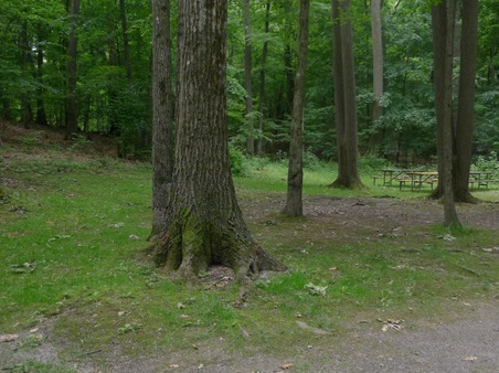 Enlarge photo 164