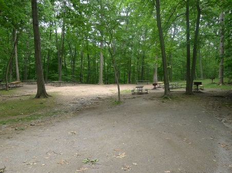 Enlarge photo 165