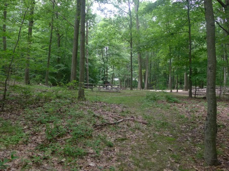 Enlarge photo 169