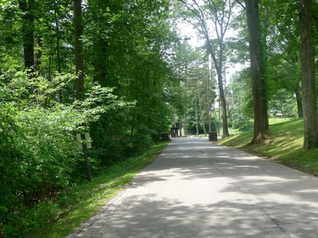 Enlarge photo 175