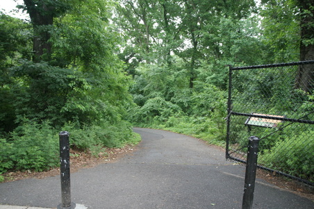 Forest Park - Strack Pond
