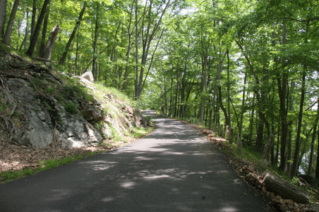 Other Harriman State