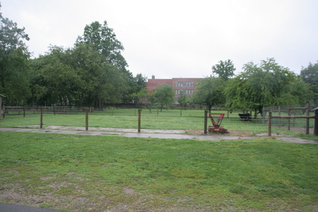 Enlarge photo 9
