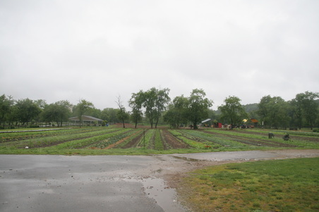 Enlarge photo 12