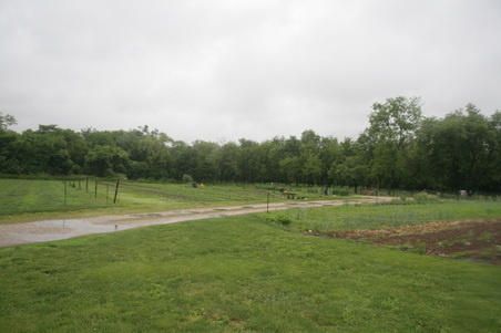Enlarge photo 16