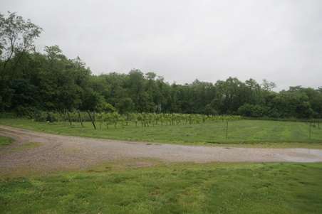 Enlarge photo 17