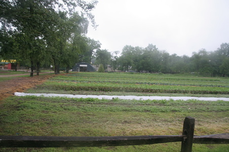 Enlarge photo 21