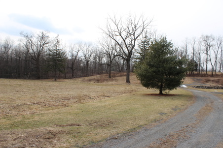 Enlarge photo 8