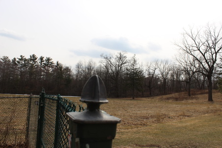 Enlarge photo 9