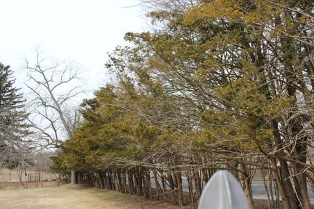 Enlarge photo 12