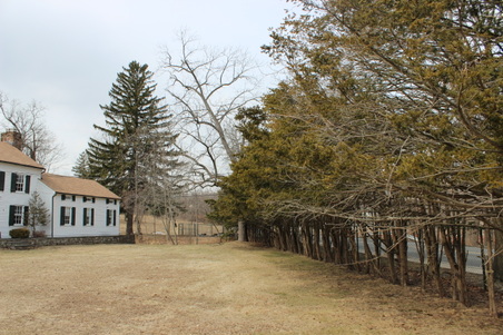 Enlarge photo 13