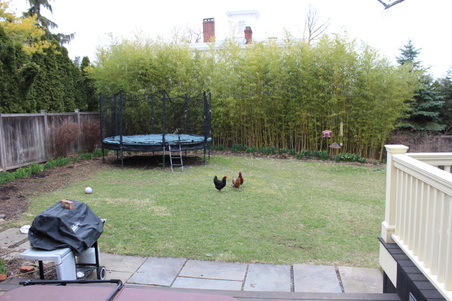 Enlarge photo 58