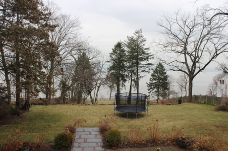 Enlarge photo 84