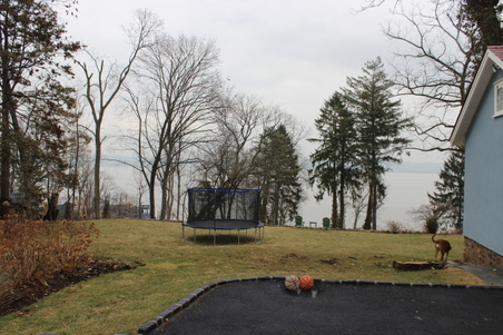 Enlarge photo 86