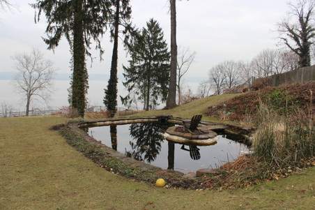 Enlarge photo 95