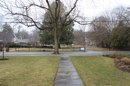 Enlarge photo 103