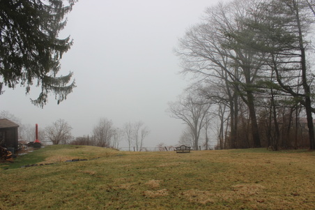 Enlarge photo 47