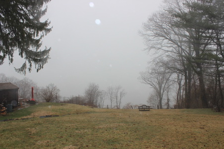 Enlarge photo 50