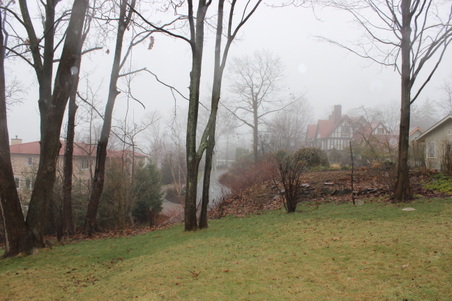 Enlarge photo 52