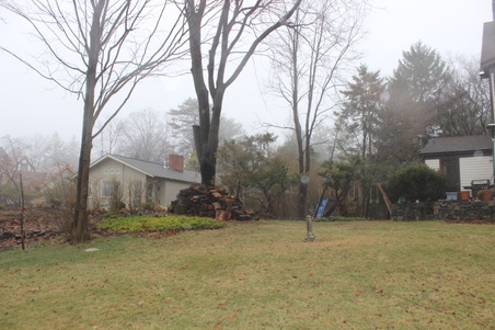 Enlarge photo 53