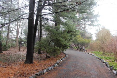 Enlarge photo 57