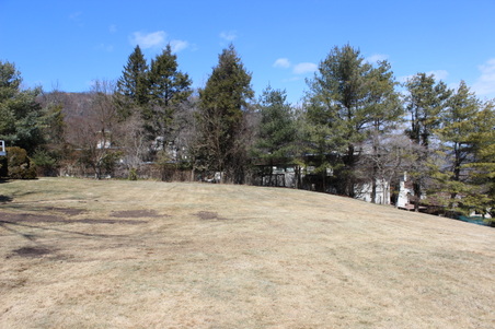 Enlarge photo 41
