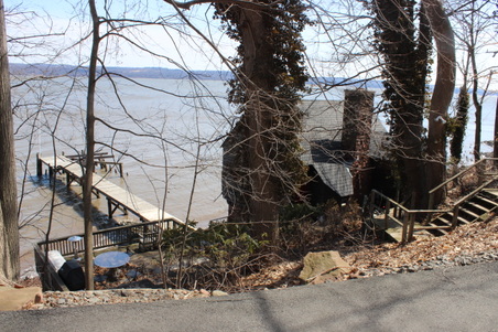 Enlarge photo 51