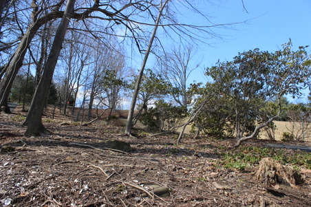 Enlarge photo 52