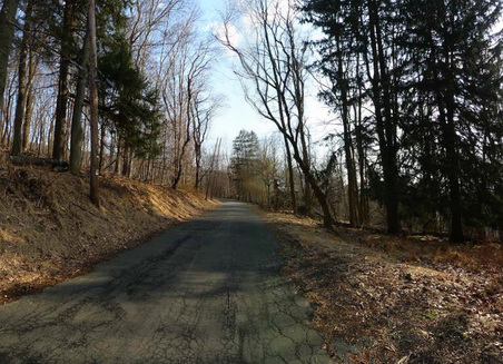 Enlarge photo 23