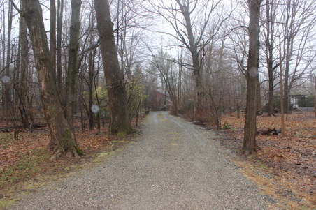 Enlarge photo 56