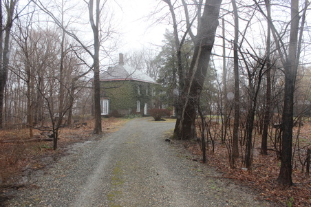 Enlarge photo 58