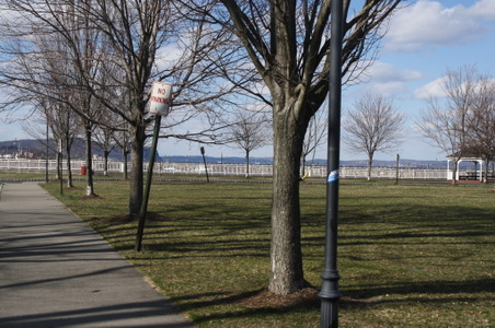 Enlarge photo 4