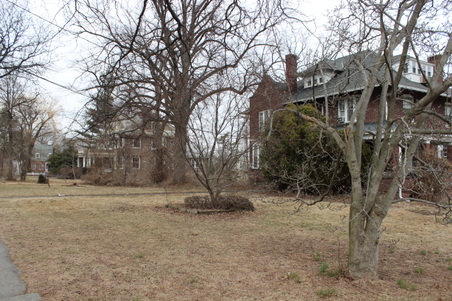 Enlarge photo 52