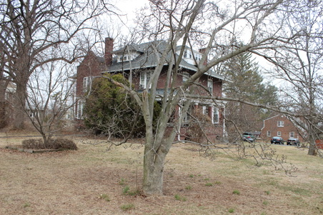 Enlarge photo 53