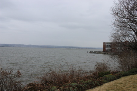 Enlarge photo 59