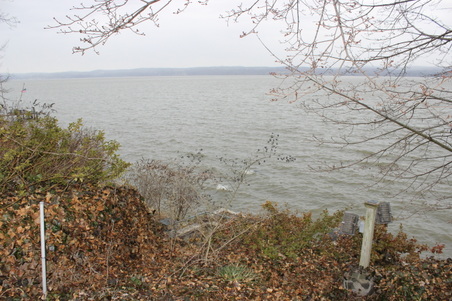 Enlarge photo 63