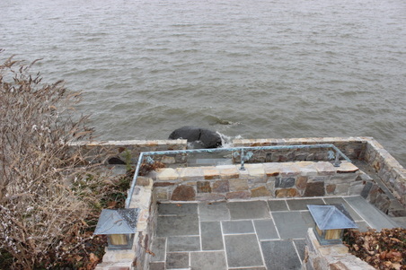 Enlarge photo 66