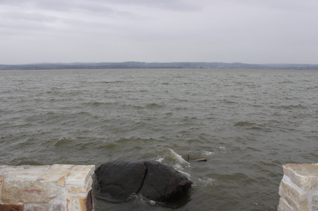 Enlarge photo 69