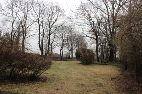Enlarge photo 70