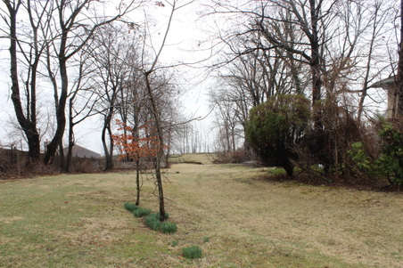 Enlarge photo 69