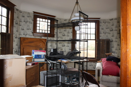 Enlarge photo 47