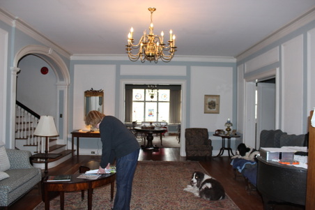 Enlarge photo 67