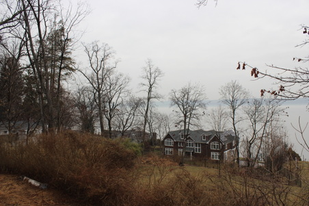 Enlarge photo 57