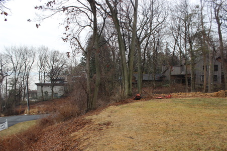 Enlarge photo 58