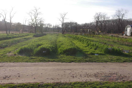 Enlarge photo 8