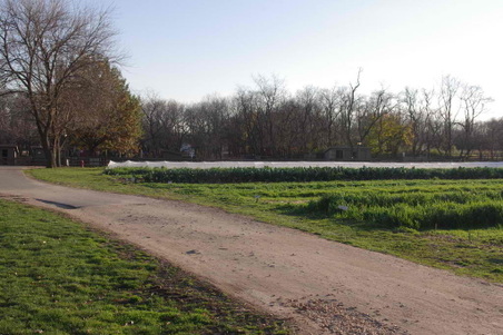 Enlarge photo 7