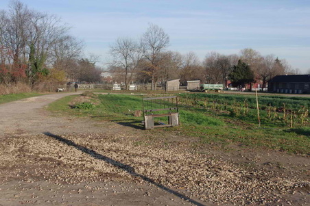 Enlarge photo 16